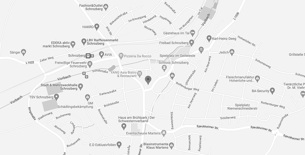 Google Maps placeholder